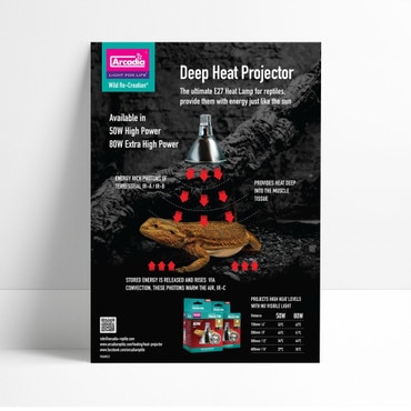 Arcadia Deep Heat Projector Poster